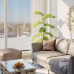 Captura de pantalla 2025-04-15 150734